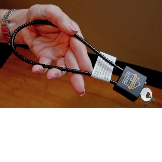 Cable Gun Lock