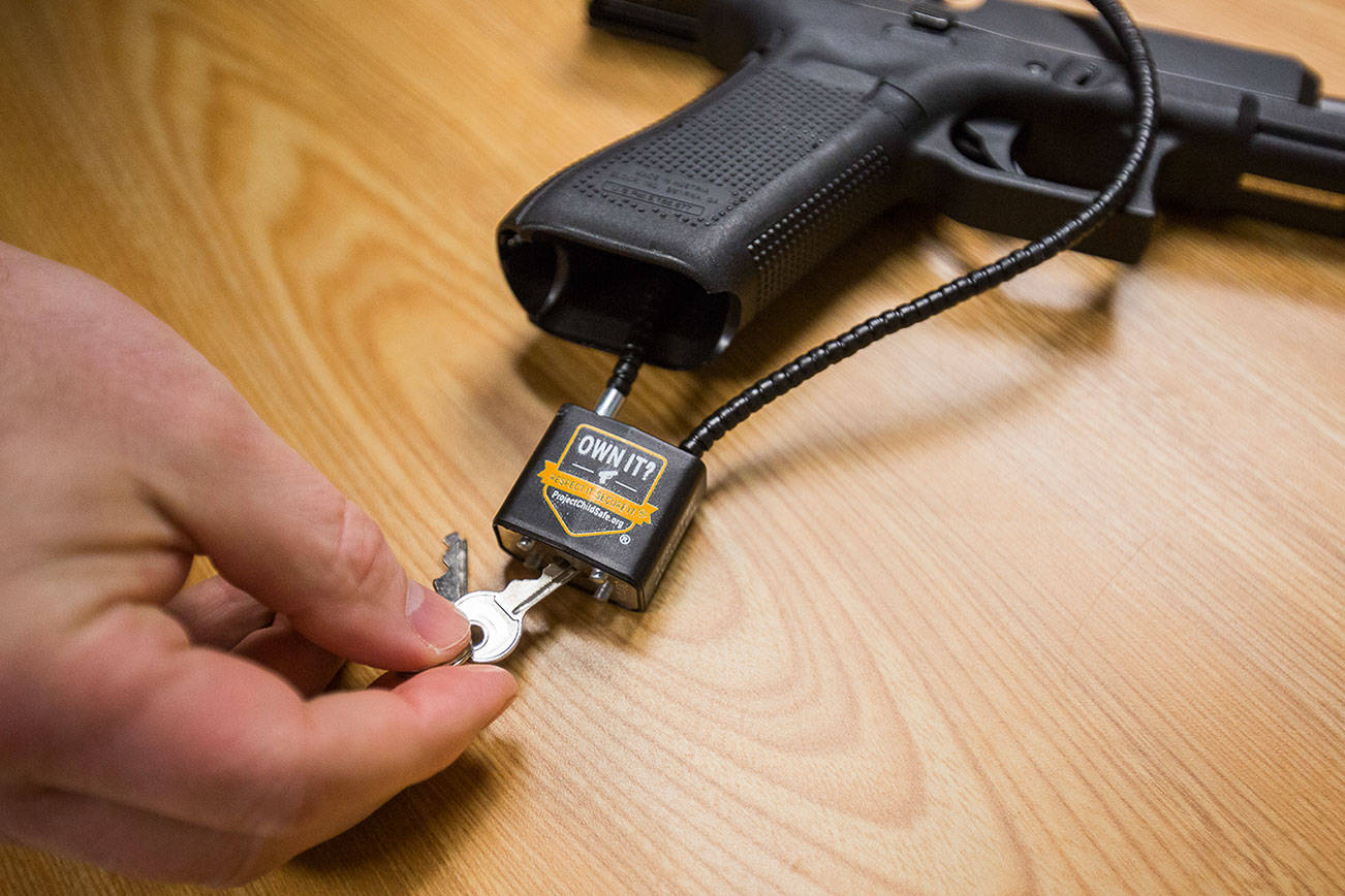 Cable Gun Lock