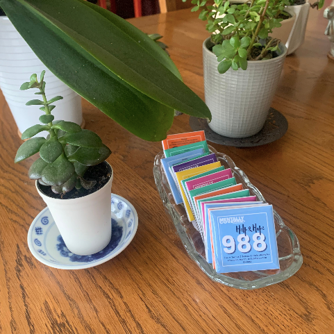 988 Pins (set of 40)
