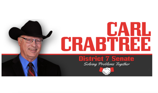 Suicide: Phase 2 - This Week from Senator Carl Crabtree