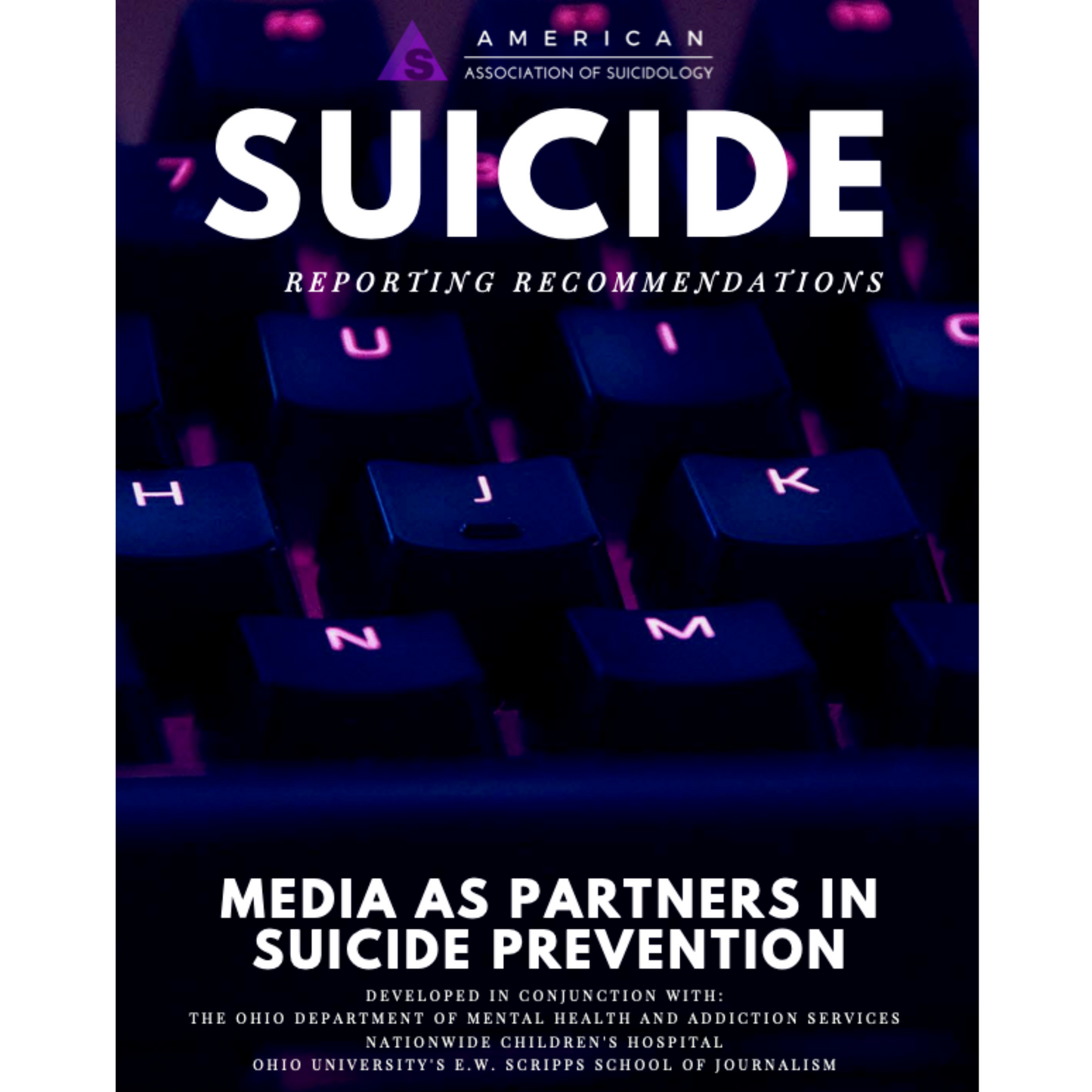 Suicide Reporting Recommendations
